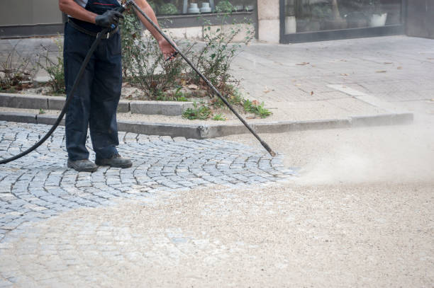 Best Fence Cleaning  in Navesink, NJ